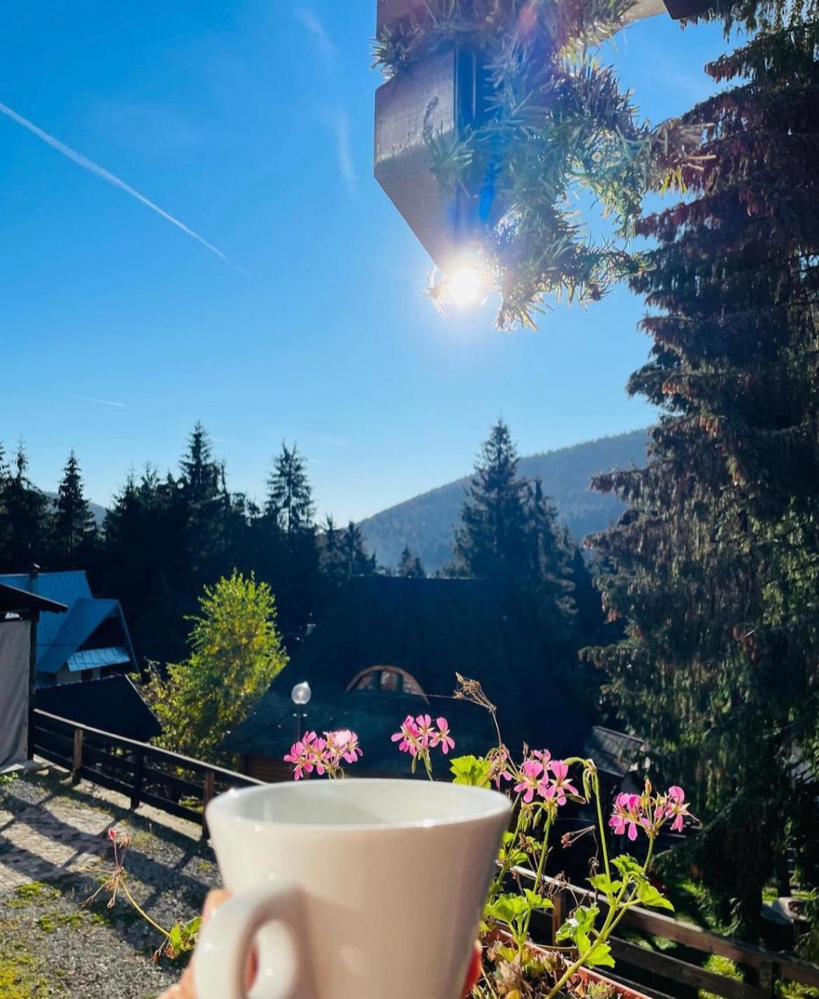 Pensiunea Panoramic Vartop Dış mekan fotoğraf