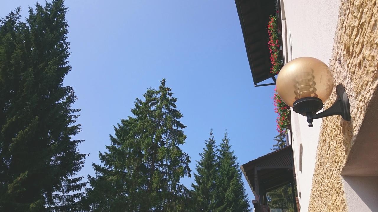 Pensiunea Panoramic Vartop Dış mekan fotoğraf