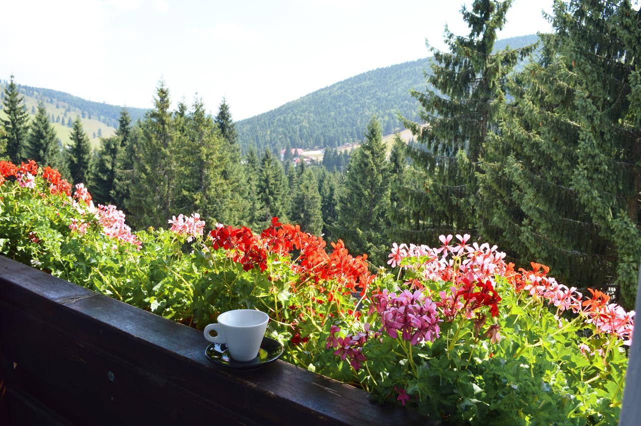 Pensiunea Panoramic Vartop Dış mekan fotoğraf